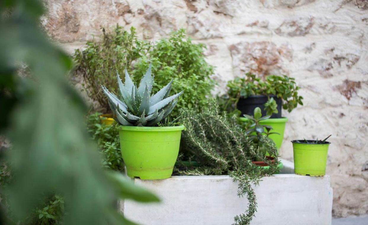 A Litte Taste Of Home Guest House Athene Buitenkant foto
